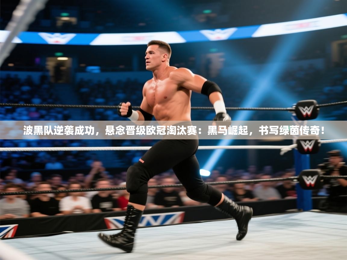 波黑队逆袭成功,悬念晋级欧冠淘汰赛:黑马崛起,书写绿茵传奇! 第2张