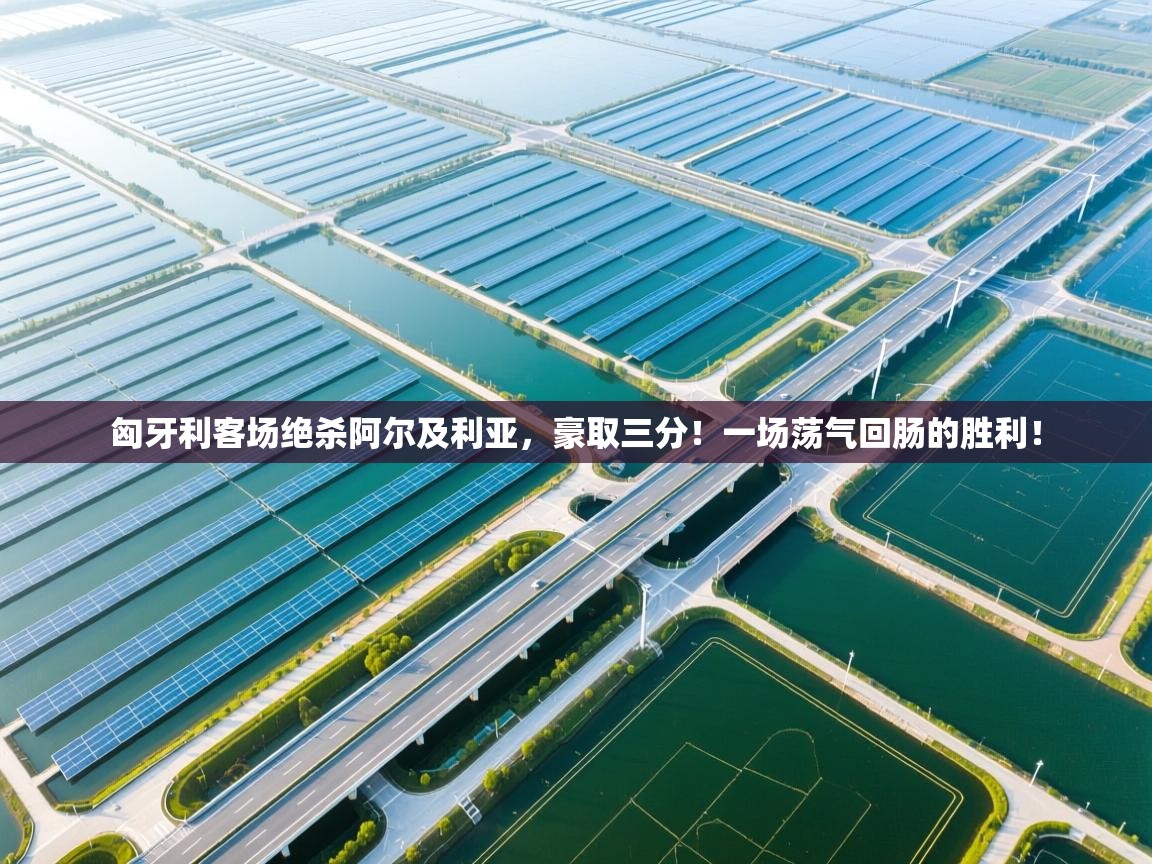 匈牙利客场绝杀阿尔及利亚，豪取三分！一场荡气回肠的胜利！  第2张