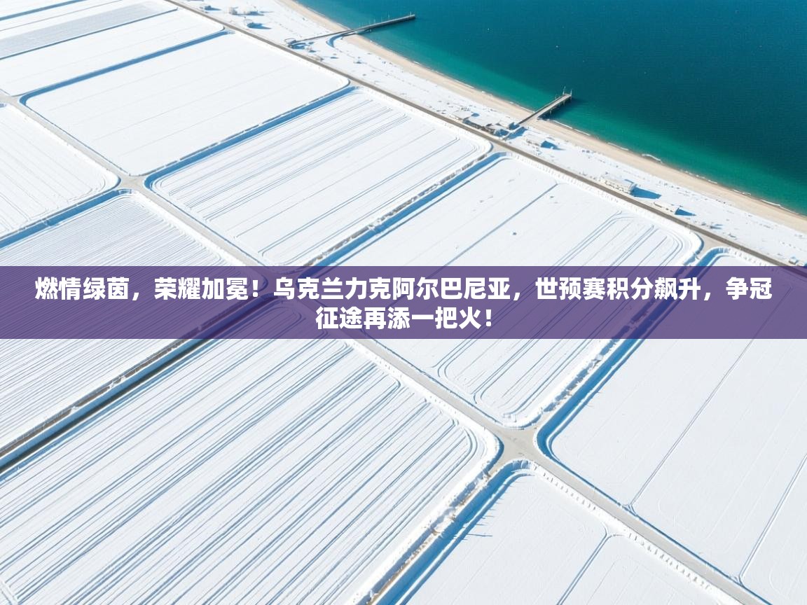 燃情绿茵,荣耀加冕!乌克兰力克阿尔巴尼亚,世预赛积分飙升,争冠征途再添一把火! 第1张
