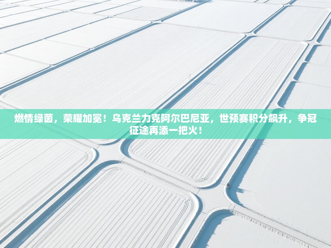 燃情绿茵,荣耀加冕!乌克兰力克阿尔巴尼亚,世预赛积分飙升,争冠征途再添一把火! 第2张