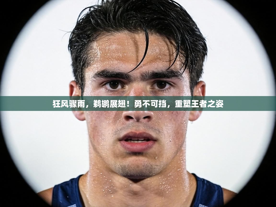 狂风骤雨,鹈鹕展翅!勇不可挡,重塑王者之姿 第1张
