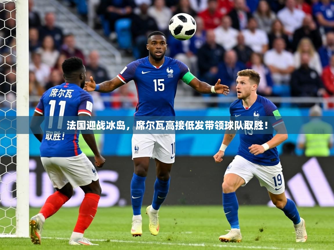 法国迎战冰岛,席尔瓦高接低发带领球队取胜! 第2张
