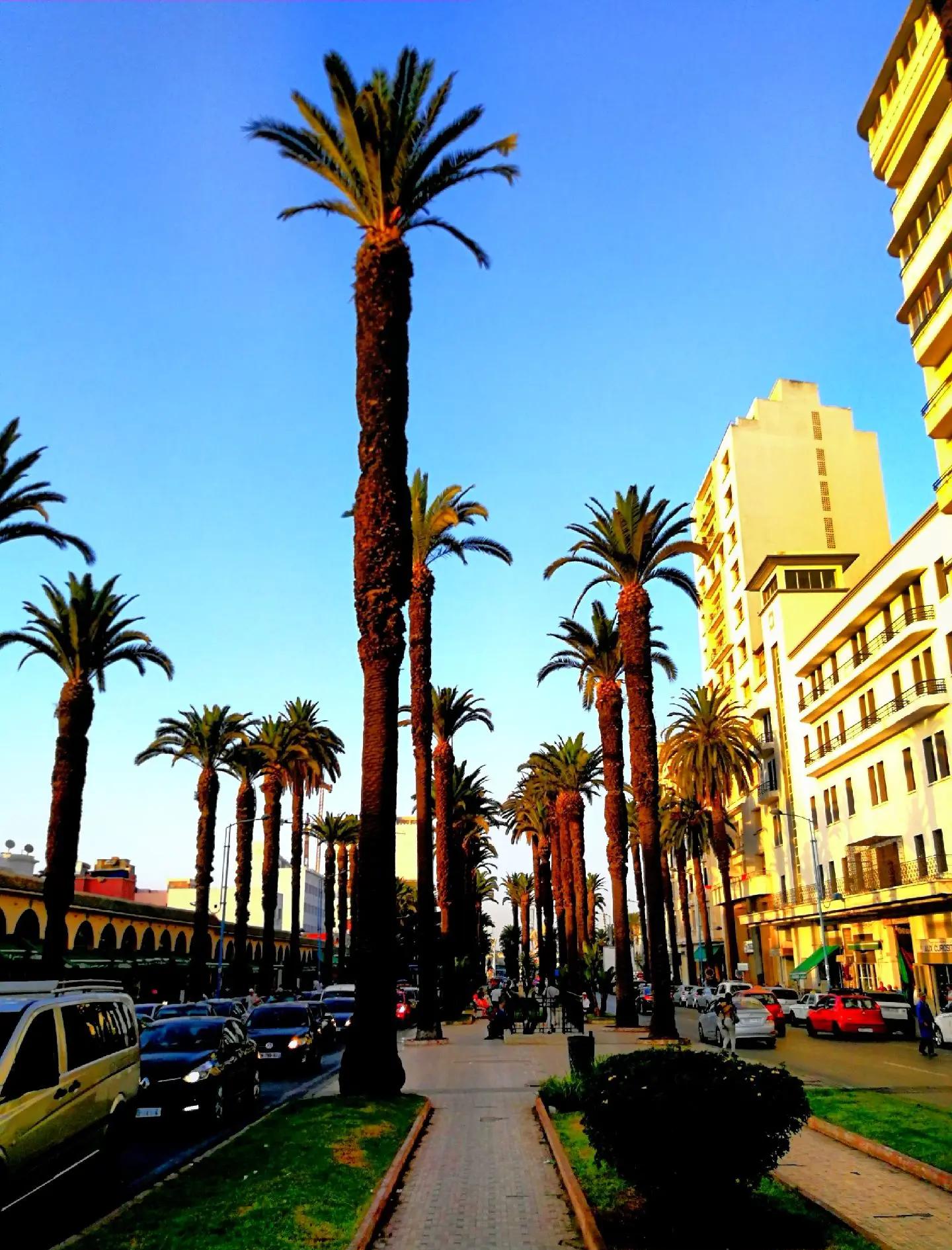 摩洛哥击败阿拉伯联合酋长国队晋级(摩洛哥击败阿拉伯联合酋长国队晋级了吗) 摩洛哥击败阿拉伯联合酋长国队晋级(摩洛哥击败阿拉伯联合酋长国队晋级了吗)