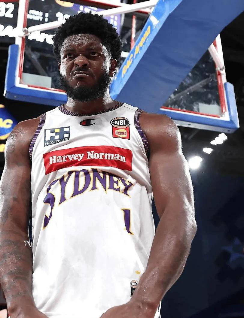 球队历经波折,最终夺得冠军 球队历经波折,最终夺得冠军